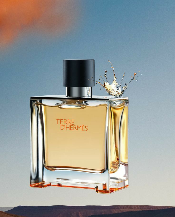 Hermes Terre D Hermes EDP 100 ML